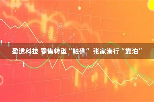 盈透科技 零售转型“触礁” 张家港行“靠泊”