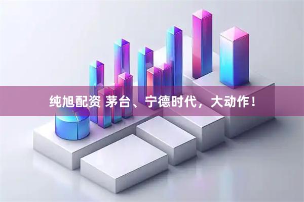 纯旭配资 茅台、宁德时代，大动作！