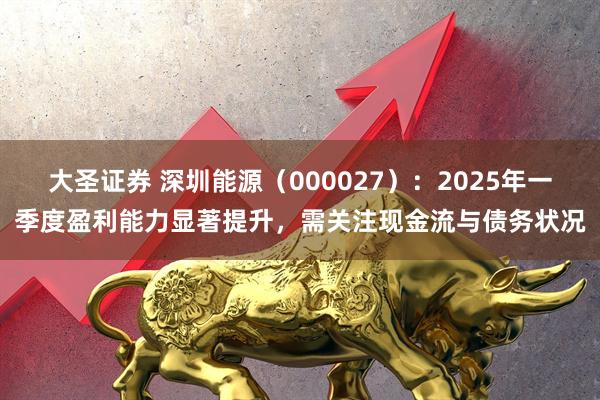 大圣证券 深圳能源（000027）：2025年一季度盈利能力显著提升，需关注现金流与债务状况
