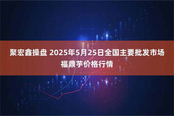 聚宏鑫操盘 2025年5月25日全国主要批发市场福鼎芋价格行情