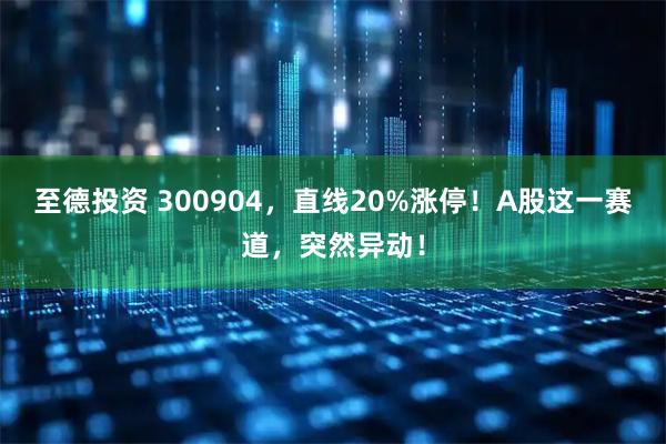 至德投资 300904，直线20%涨停！A股这一赛道，突然异动！