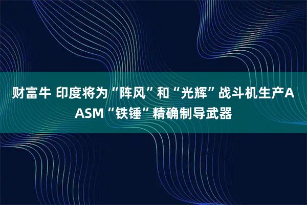 财富牛 印度将为“阵风”和“光辉”战斗机生产AASM“铁锤”精确制导武器